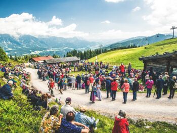 the alpine rose blossom on the Reiteralm