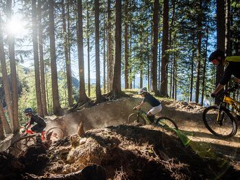 Bike Action durch den Wald