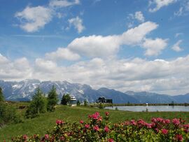 Berglust auf der Reiteralm